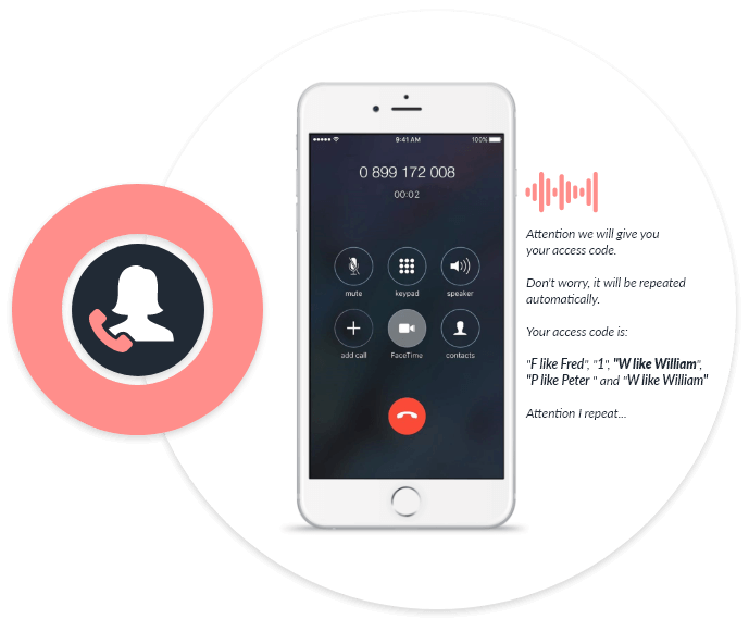 Voice payment solution in a phone